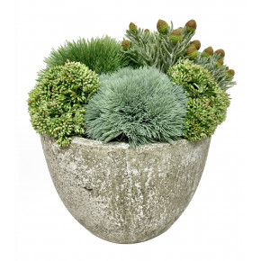 Grass, Sedum, Succulent Pot 11x13x13"