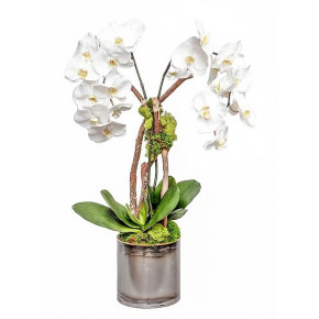 Tin Pot With Double Orchid/ Branch