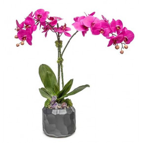 Large Black Pot With Purple Orchid/ Peacock Ore