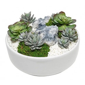 White Bowl With Succulents/ Blue Crystals