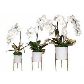 Set of 3 White/Gold Plant Stand With Orchids