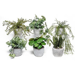 Set of 6 Boho Plant Pots