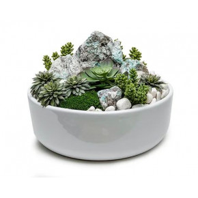 White Bowl With Amazonite Rocks/Succulents