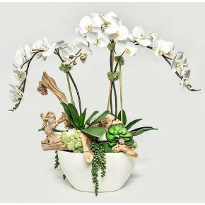White Oval Pot With Orchids/Crystals/Grapewood