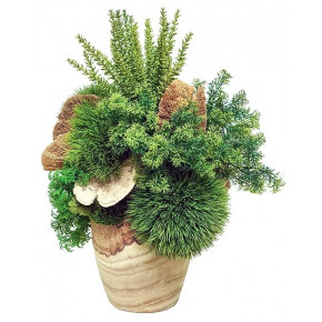 Wood Vase With Botanicals/Natural Mushrooms