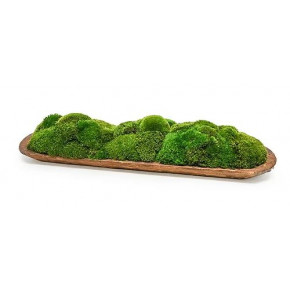 Wood Tray With Mood Moss