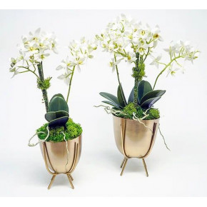 Set of 2 Gold Planter Stands With Mini Orchids