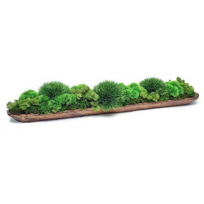Wood Baguette Tray With Grass/Mood Moss