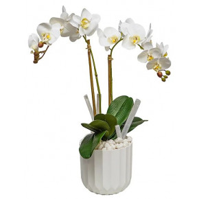 Orchids/Selenite Sticks In White Pot