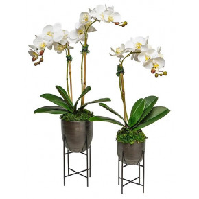 Set of 2 Orchids In Black Bronze Pot On Stand