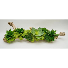 Grapewood Branch Succulents 30x12x9"