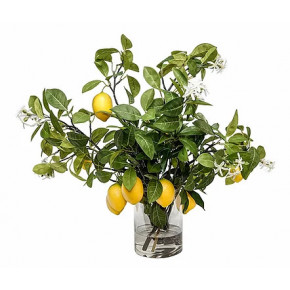 Lemon Branches in Glass Vase
