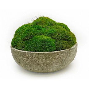 Stoneware Moss Bowl 15"