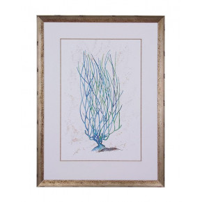 Dyann Gunter's Blue Coral II