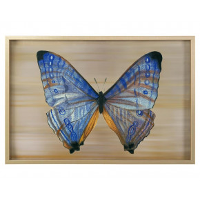 Gilded Butterflies IV