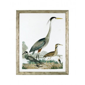 Large Heron Family I