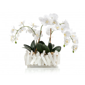 Selenite Orchids