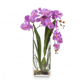 Deep Asian Orchid 30"H x 19"W x 10"D