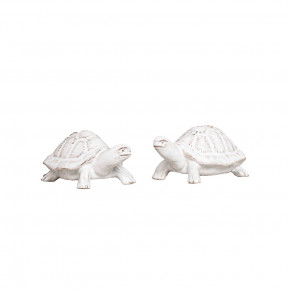 Clever Creatures Turtle Salt and Pepper Set of 2 pc