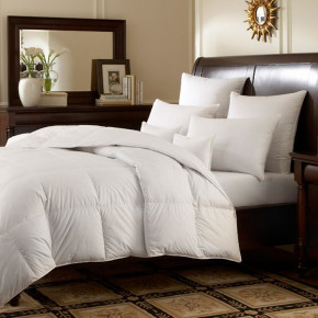 Logana 920+ Fill Canadian White Goose Down Twin Summer Comforter 71x86 17 oz