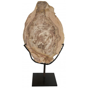 Wood Fossil with Stand, 12"
