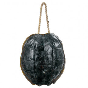 Turtle Shell Accessory, Natural