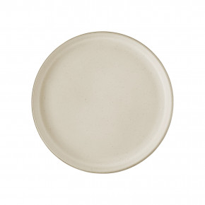 Joyn Stoneware Ash Dinner Plate/Gourmet Plate 10 1/4 in