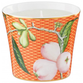 Tresor Fleuri Orange Candle Pot Water apple Round 3.34645 in. in a gift box