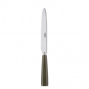 Icon Olive Dinner Knife 9.25"