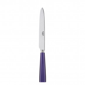 Icon Purple Dinner Knife 9.25"