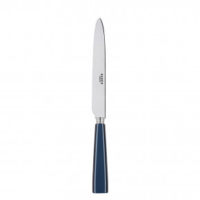 Icon Steel Blue Dinner Knife 9.25"