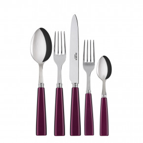 Icon Aubergine 5-Pc Setting (Dinner Knife, Dinner Fork, Soup Spoon, Salad Fork, Teaspoon)