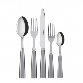 Icon Grey 5-Pc Setting (Dinner Knife, Dinner Fork, Soup Spoon, Salad Fork, Teaspoon)