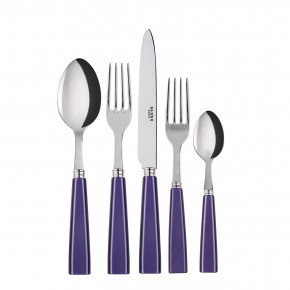 Icon Purple 5-Pc Setting (Dinner Knife, Dinner Fork, Soup Spoon, Salad Fork, Teaspoon)