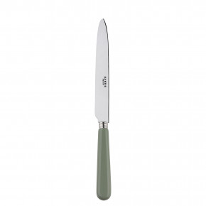 Basic Asparagus Dinner Knife 9.25"