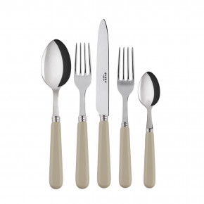 Basic Light Khaki 5-Pc Setting (Dinner Knife, Dinner Fork, Soup Spoon, Salad Fork, Teaspoon)