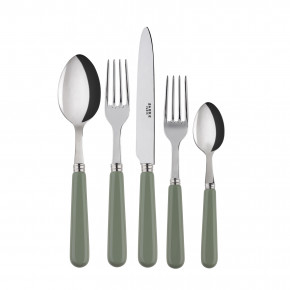Basic Asparagus 5-Pc Setting (Dinner Knife, Dinner Fork, Soup Spoon, Salad Fork, Teaspoon)