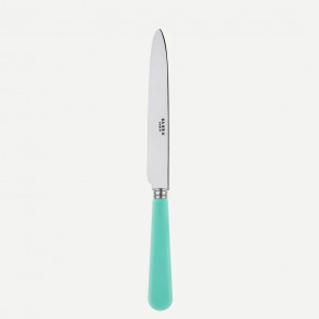 Duo Turquoise Dinner Knife