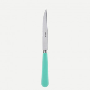 Duo Turquoise Steak Knife