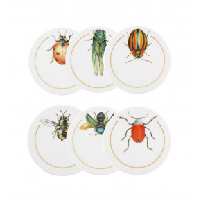 Insects Set Of 6 Coasters