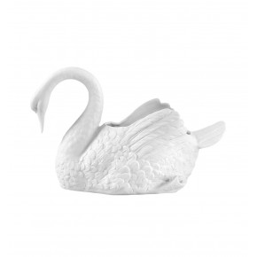 Swans/ Cisnes Large Swan