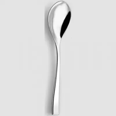 Steel Stainless Serving Spoon
