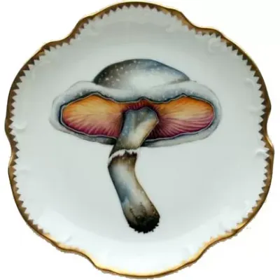 Forest Mushrooms Canape Plates