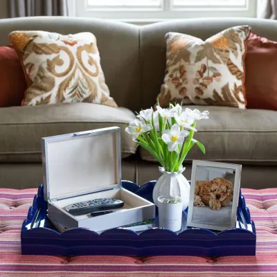 8 x 11 in Chiffon & Silver Large Storage Box