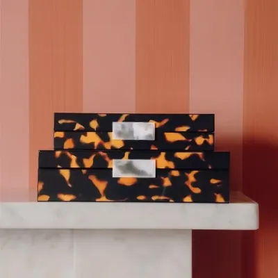 Tortoiseshell Box with Silver Large