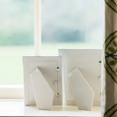 Wide Duck Feather & Silver Frame