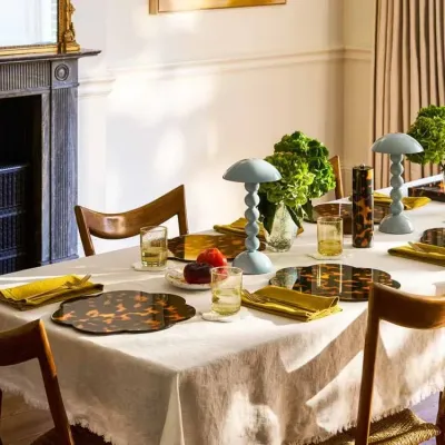 Faux Tortoiseshell Placemats Set of 4
