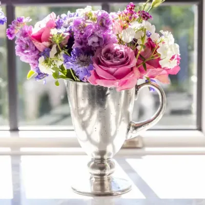 Veneto Pitcher