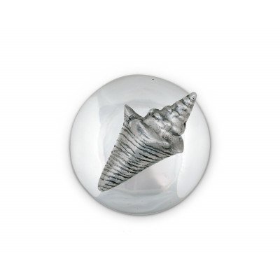 Shell Napkin Weight 3.5"