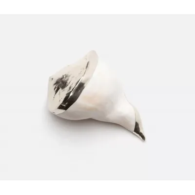 Jacob Natural/Silver Whelk Shell Decorative Item, Pack of 2